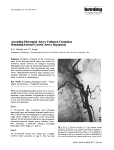 Ascending pharyngeal artery collateral circulation