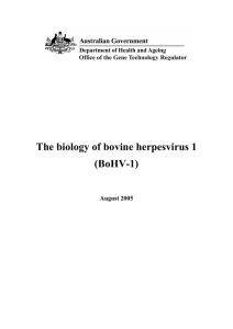 The biology of bovine herpesvirus 1 (BoHV-1)