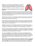 Respiratory Article