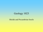 Shields and Precambrian fossils
