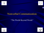 Non Verbal Communication File