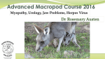 Advanced Macropod Course 2016 1