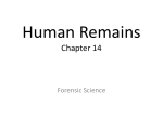 Ch_14_Human_Remains_PP
