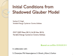 Initial Conditions from Shadowed Glauber Model - Indico