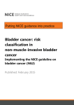 risk classification in non-muscle-invasive bladder cancer