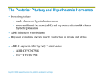 The Posterior Pituitary and Hypothalamic Hormones