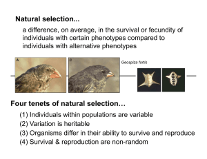 Four tenets of natural selection… Natural selection