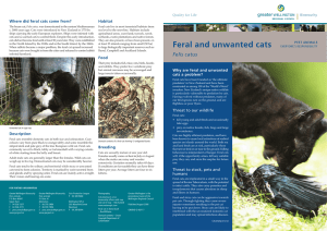 Feral and unwanted cats - Greater Wellington Regional Council