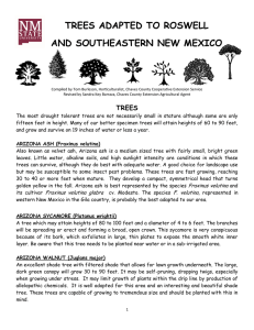 trees adapted to roswell and southeastern new mexico