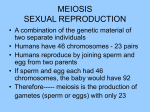 MEIOSIS SEXUAL REPRODUCTION