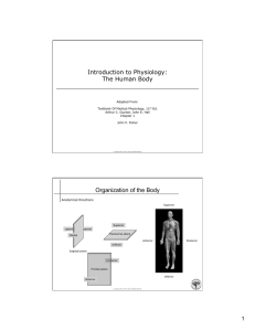 Introduction to Physiology: The Human Body Organization of the Body