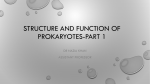 STRUCTURE AND FUNCTION OF PROKARYOTES