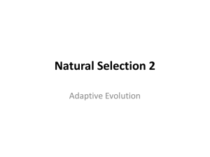 Natural Selection 2