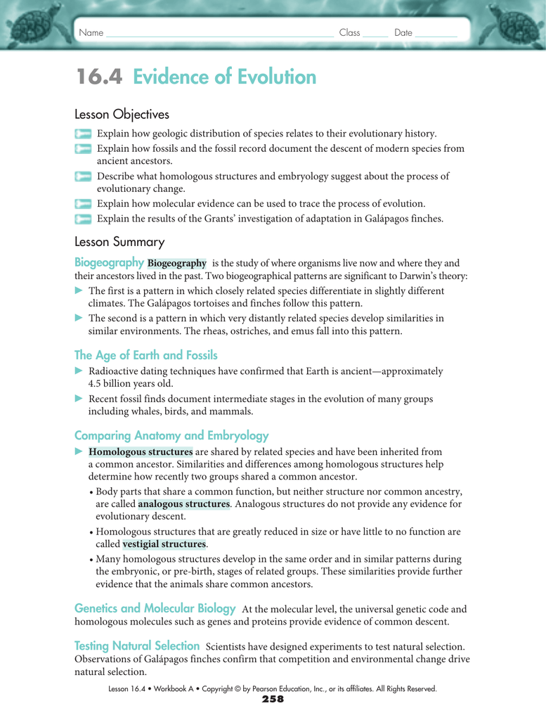 20.20 Evidence of Evolution With Regard To Evidence Of Evolution Worksheet Answers