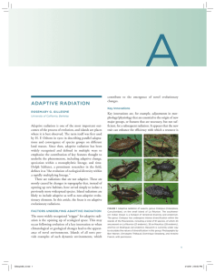 adaptive radiation - College of Natural Resources