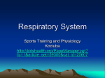 Respiratory System