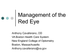 Management of the Red Eye