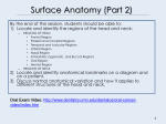 Surface Anatomy (Part 2) - Seattle Central College