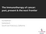 The immunotherapy of cancer, past, present and next frontier