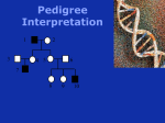 Pedigree Interpretation