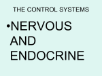 THE CONTROL SYSTEMS