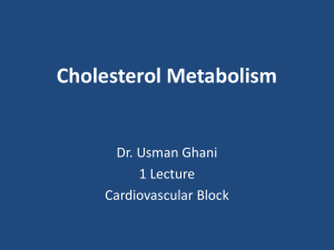 02 Cholesterol Metabolism2012-03-18 01:50617 KB