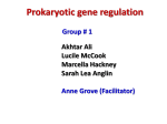 Prokaryotic Gene Regulation (PowerPoint) Gulf Coast 2012
