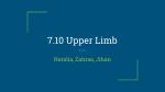 7.10 Upper Limb
