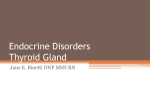 Endocrine Disorders Thyroid Gland