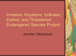 endangered species project.jennifer