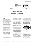 Forage Species Production Techniques