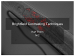 Brightfield Contrasting Techniques