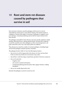 10 Root and stem rot diseases caused by pathogens that