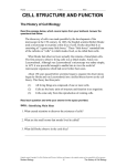 active reading worksheets