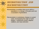 Causes of microevolution