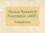Alpaca Research Foundation