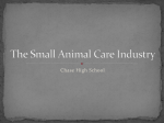 The Small Animal Care Industry