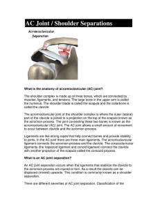 AC Joint / Shoulder Separations