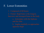 F. Lower Extremities - Crestwood Local Schools