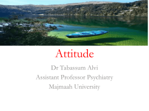 Attitudes Influence on Behavior