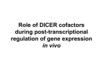 TARBP2 mediated post-transcriptional regulation of gene