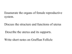 Enumerate the organs of female reproductive system. Discuss the