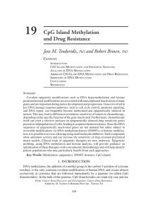 CpG Island Methylation and Drug Resistance