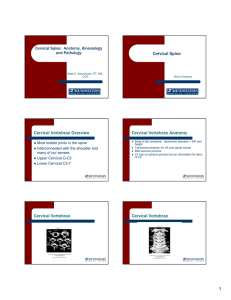 Cervical Vertebrae Overview Cervical Vertebrae - continuing