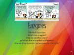 Essential Questions: What is an enzyme? How do enzymes work