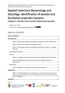 Chapter 6: Aerobic Gram-positive filamentous bacteria