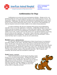 Antihistamines for Dogs