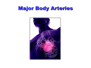 Major arteries of the body
