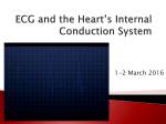 ECG and the Heart*s Internal Conduction System