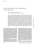 Myosin Types and Fiber Types II. Atrial Myocardium in Cardiac Muscle.